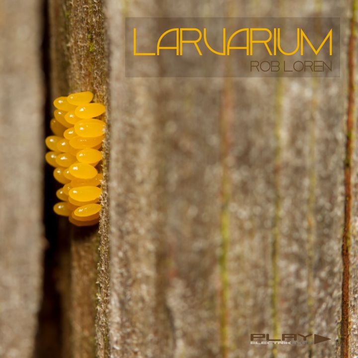 Larvarium mixed by Rob Loren | Play Electrik Club | Download or listen mix