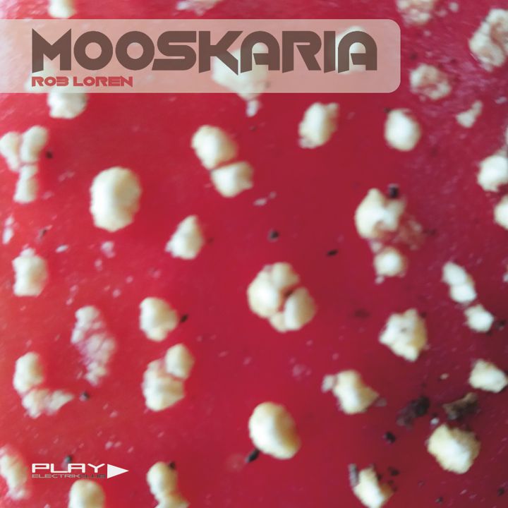 Mooskaria mixed by Rob Loren | Play Electrik Club | Download or listen mix